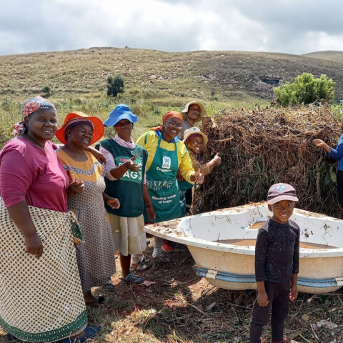 Compost Making